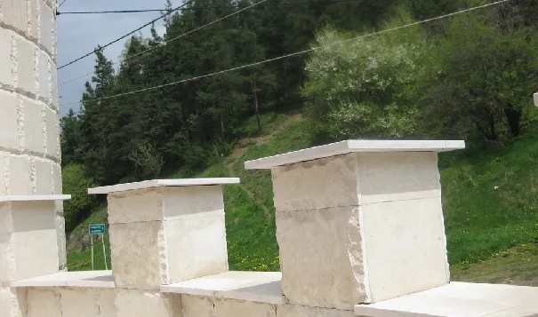 Бойниците на покрива и боровата гора зад тях
